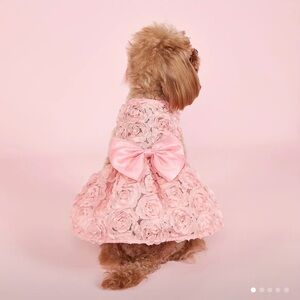 Floral Ribbon Pink Pet Dress